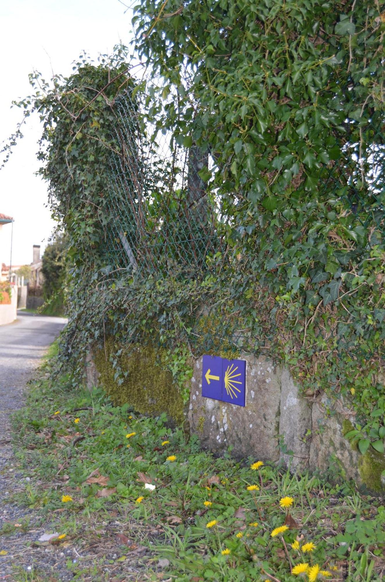 Casa Aurora Villa Teo Buitenkant foto